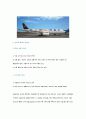 [경영전략]Airline Alliance의 사례를 중심으로 4페이지