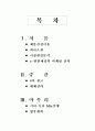 [마케팅전략과 광고전략] 마케팅전략과 광고전략 2페이지