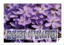 고등부 예배순서 18페이지