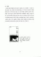 편집디자인에 있어서 타이포그래피의 역할에 관한 연구 42페이지