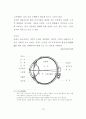 고령자 중심형 제품 디자인 접근방법 연구 - 전자레인지 사용 환경 중심으 31페이지