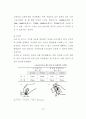 고령자 중심형 제품 디자인 접근방법 연구 - 전자레인지 사용 환경 중심으 72페이지