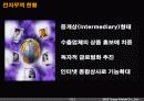 전자무역 상거래의 현황과 성공사례 (전자상거래 Tpage.com) 13페이지