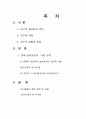 놀이동산의 마케팅전략(서울랜드 마케팅 기업경영 기업분석 기업 테마파크 롯데월드 ? 1페이지