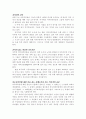 이슬람에 대한 상황화 전략 13페이지