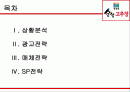 [광고학] 순창고추장 광고기획서 2페이지