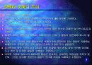 다국적기업 8페이지