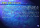 다국적기업 13페이지