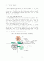 부산지역 백화점의 소비자 특성 분석 ( 현대백화점 소비자행동) 20페이지