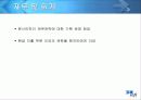 쓰리알소프트의 중국진출 전략 및 사례 (전자상거래) 17페이지