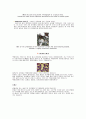 미생물의 분류 2페이지