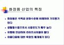 글로벌 마케팅 사례분석( 주)태평양 화장품... 5페이지