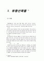 대기오염물질 연구와 그 처리방법 33페이지