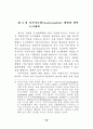 도시계획제도 연구 19페이지