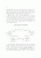 도시행정 관리체계 연구 85페이지