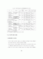 제주지역의 중국관광객 유치방안 (관광산업) 27페이지