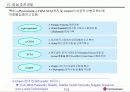 IT화를 위한 LG전자의 e-Transformation 전략 8페이지