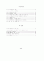 전자상거래 감리지침(보안)에 관한 연구 11페이지