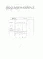 전자상거래 감리지침(보안)에 관한 연구 17페이지