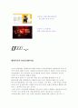 장소마케팅 - 파트너십-: 바이마르의 문화유산 현대아산의 금강산개발사업 10페이지