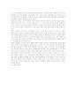 미켈란젤로의 복수 2페이지