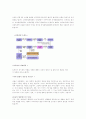 뇌사란 무엇인가? 3페이지