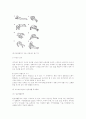 척수손상환자의 재활간호사례 40페이지