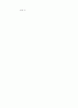 신의주 특별행정구 자료 고찰 2페이지