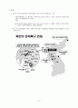 신의주 특별행정구 자료 고찰 3페이지