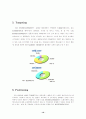sm기획 마케팅 전략분석 10페이지
