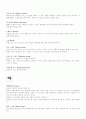패션용어 정리 5페이지