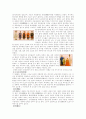박물관 기행문-국립 민속 박물관 15페이지