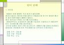 한국 담배 패키지 디자인 발전사 5페이지
