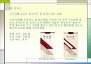 한국 담배 패키지 디자인 발전사 48페이지