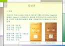 한국 담배 패키지 디자인 발전사 84페이지