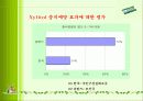 XYLITOL 에 관한 마케팅 전략 12페이지