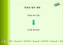 XYLITOL 에 관한 마케팅 전략 18페이지