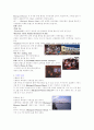 테마파크(블랙풀 플레저 비치 BLACKPOOL PLEASURE BEACH 5페이지