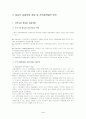 영월 동강 관광자원개발과 지역경제 발전과의 연계성 5페이지