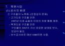 청계천 복원 사업 현황과 방향모색 21페이지