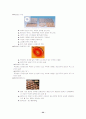 노인복지, 사회복지 32페이지