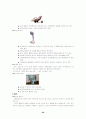 노인복지, 사회복지 36페이지