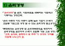 [롯데제과 자일리톨 껌]의 마케팅분석 12페이지