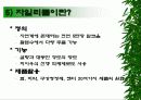 [롯데제과 자일리톨 껌]의 마케팅분석 18페이지