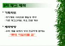 [롯데제과 자일리톨 껌]의 마케팅분석 44페이지
