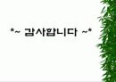 [롯데제과 자일리톨 껌]의 마케팅분석 54페이지