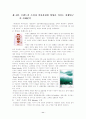 브랜드가 소비자의사결정에 미치는 영향 11페이지