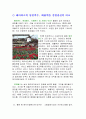 삼성에버랜드 기업 사례연구 ,테마파크 23페이지