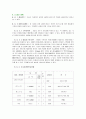인터넷 사업계획서 (가상성형) 10페이지