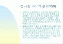 전자상거래의 현재및미래의 동향 29페이지